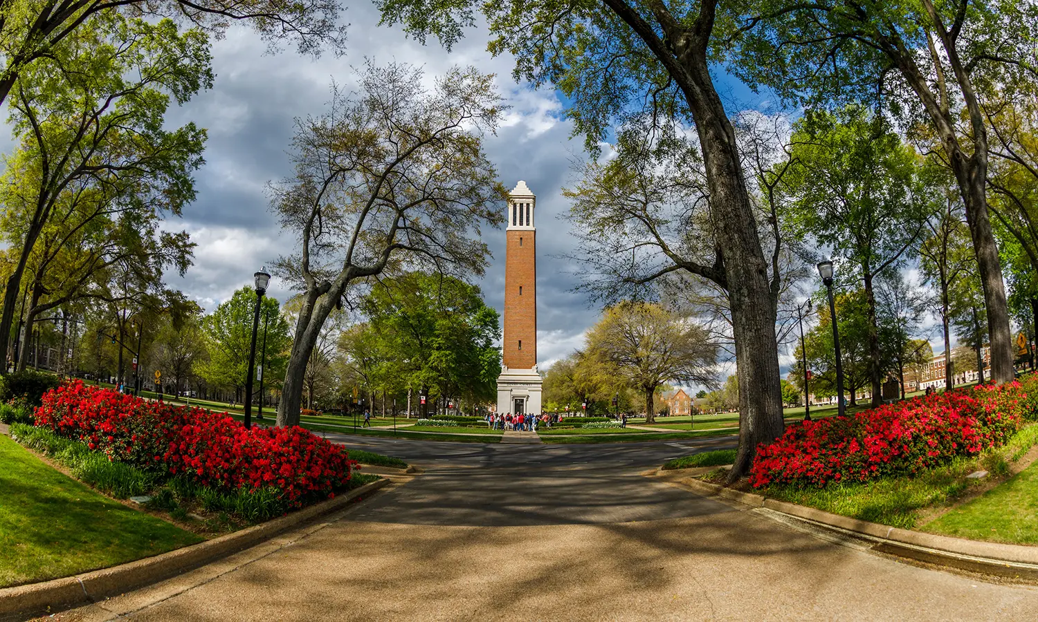 Flowers near Denny Chimes